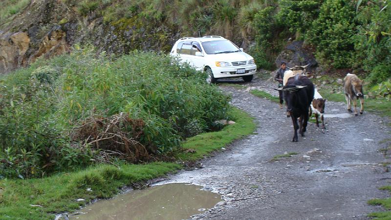 Illampu Trek Steves (211).JPG